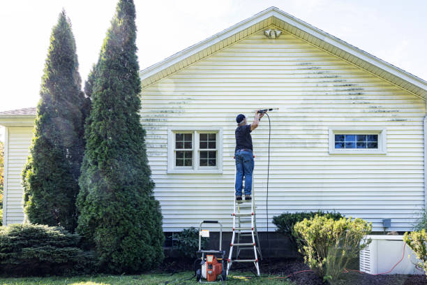 Best Building Exterior Washing  in Walce Ridge, LA